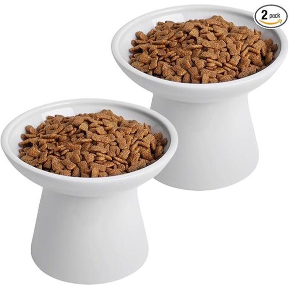 Ceramic Elevated Cat Bowls Set (2 Pack)