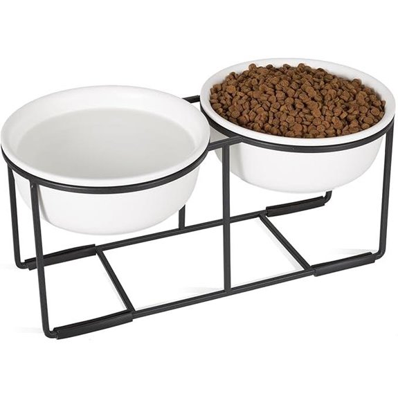 Ceramic Elevated Dog Bowl Set with Metal Stand