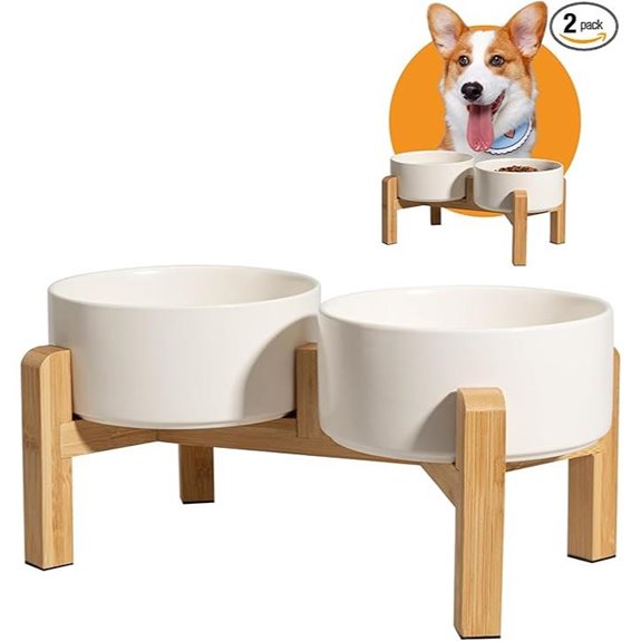 Elevated Ceramic Dog Bowl Set with Non-Slip Stand