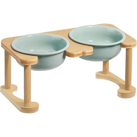 Elevated Ceramic Dog Bowls with Anti-Slip Stand