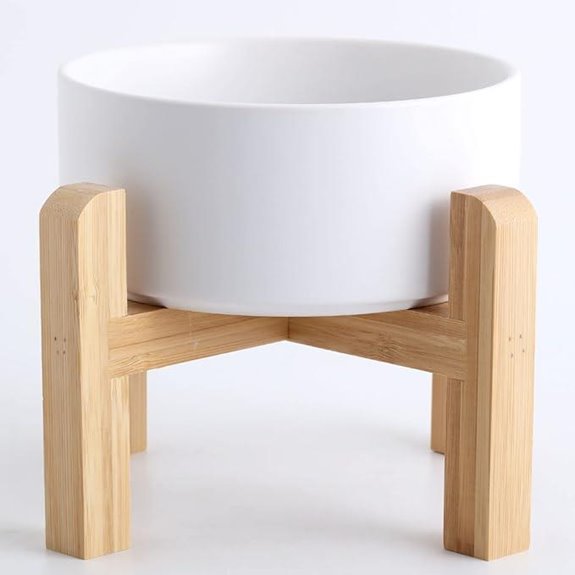 PetGooing Raised Ceramic Dog Bowl with Stand