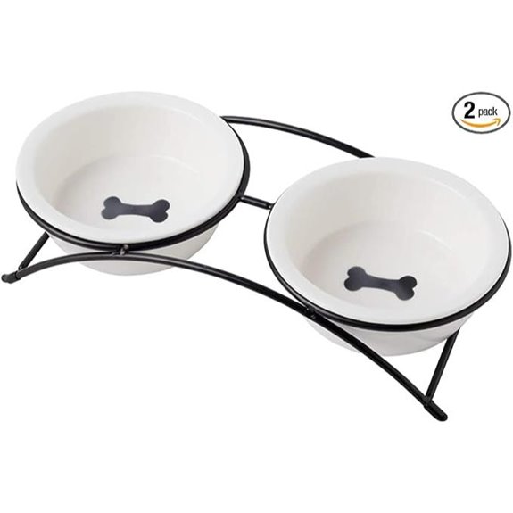 Ceramic Elevated Pet Food Bowls for Cats & Dogs