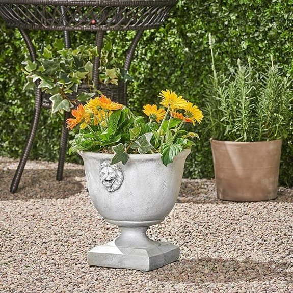 Jorine Concrete Garden Planter with Drainage