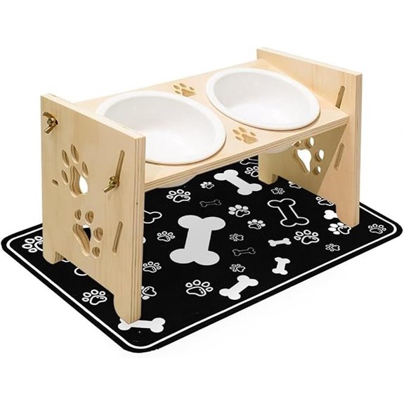 Elevated Ceramic Cat & Small Dog Bowls with Mat