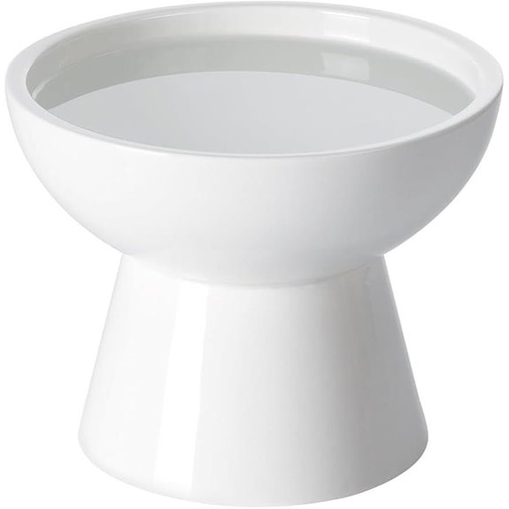 LoeJan Elevated Ceramic Cat & Dog Water Bowls Set