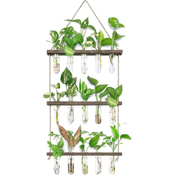 XXXFLOWER Wall Hanging Propagation Station with Test Tubes