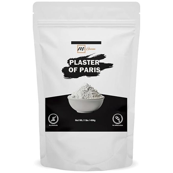 Plaster of Paris (POP) 454 g for Molds and Masks