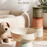 top ceramic elevated dog bowls